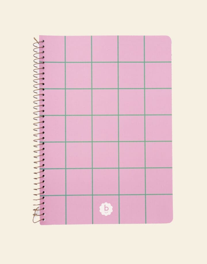 Bondito Notebook Set - Eucalyptus