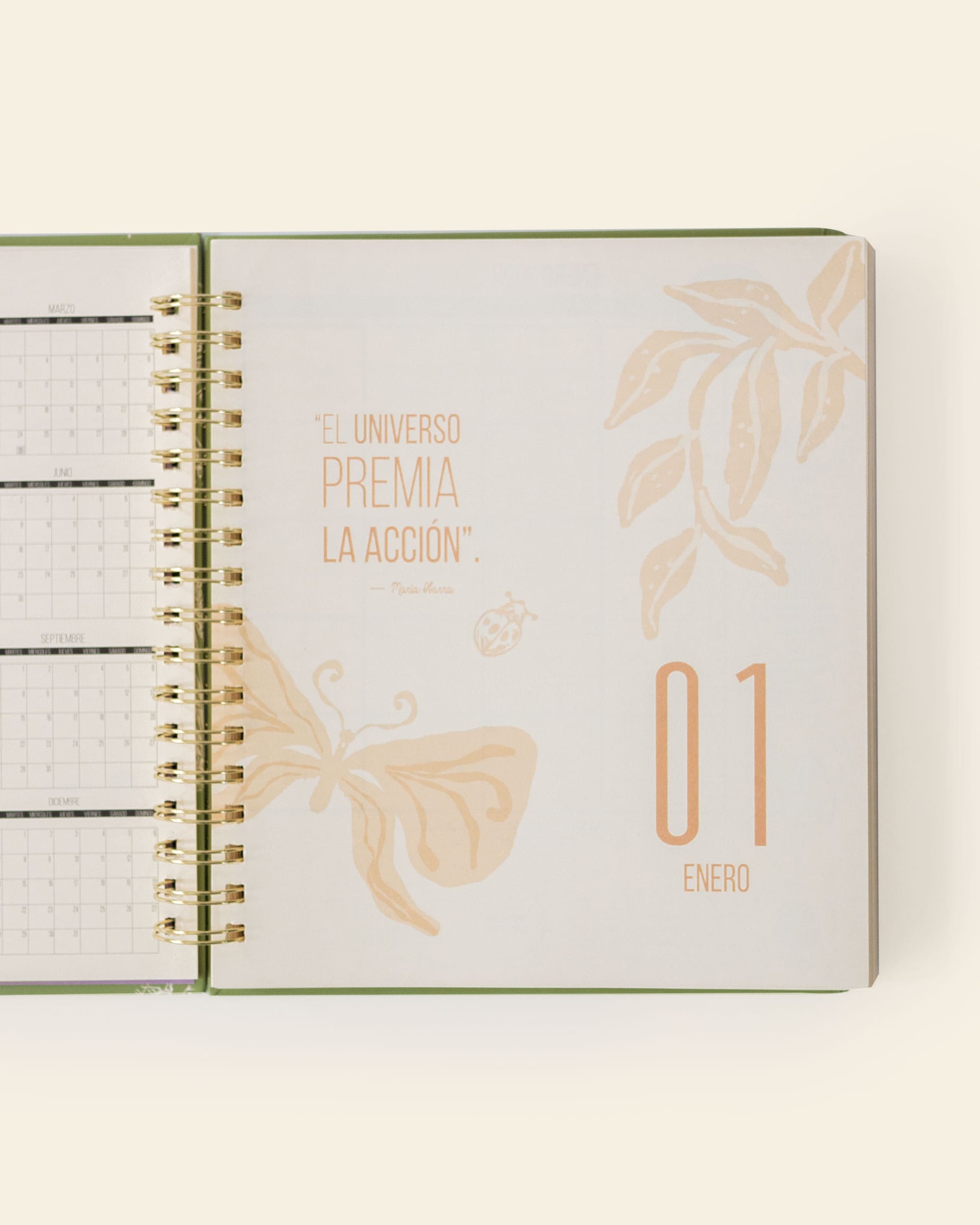 The Full Planner 2026 – Edición Especial Butterfly Breeze