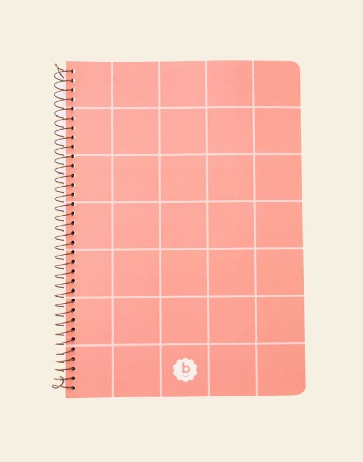 Bondito Notebook Set - Peach