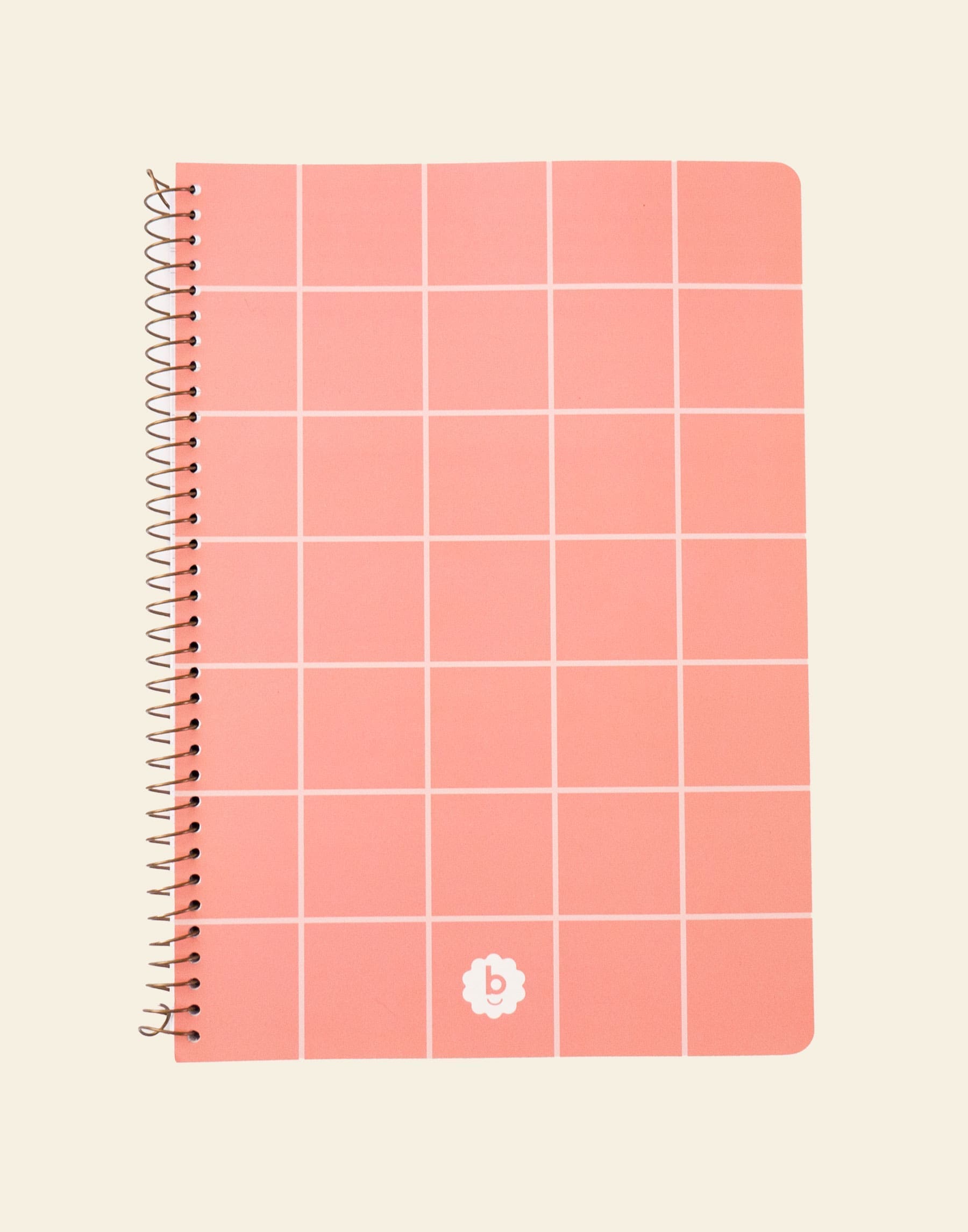 Bondito Notebook Set – Peach